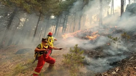 29 vatra aktive në Shqipëri, shtatë helikopterë dhe një avion Canadair në zonat problematike