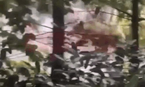 Një ari shfaqet në Brezovicë krejt afër vilave atje (Video)