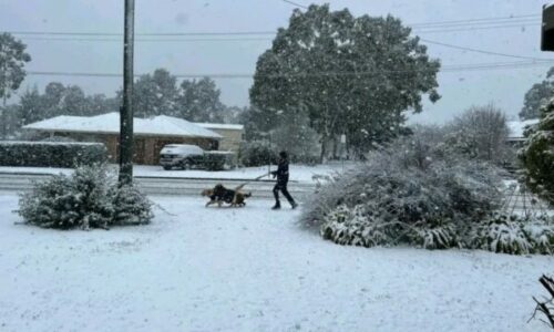 Australi – stuhi bore paralizon qarkullimin dhe lë mijëra shtëpi pa energji