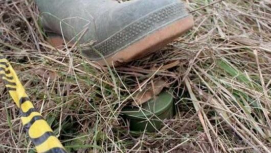 Gjendet një mjet i pashpërthyer në Sllapuzhan të Suharekës