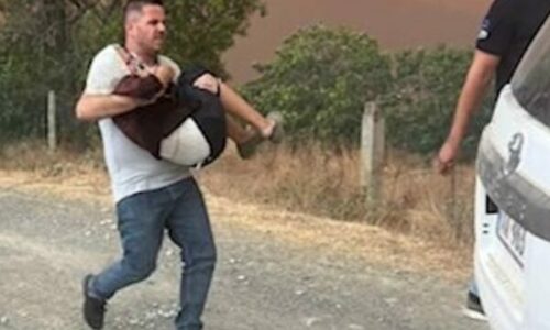 Gramsh: Polici futet në mes të flakës për ta shpëtuar të moshuarën