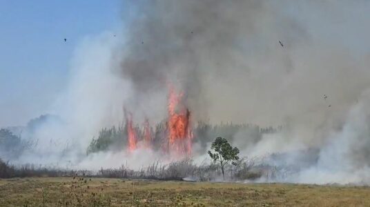 Dy vatra zjarri në Fier, flakët përfshijnë sipërfaqe të mëdha me toka bujqësore