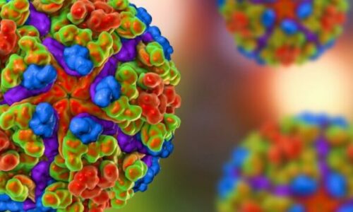 Çfarë është virusi ‘chikungunya’ nga i cili janë infektuar mijëra njerëz në Kinë?