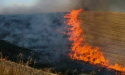 Arrestohet një i dyshuar për zjarrvënie në Lipjan, Policia: Dyshohet se ka ndodhur nga pakujdesia