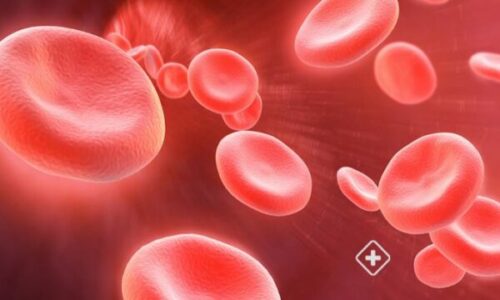 Anemia, produktet që rrisin përthithjen e hekurit nga trupi