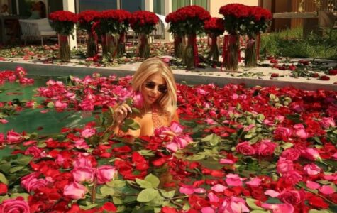 Çfarë ditëlindje! Surpriza e Luanes kushtoi mbi 75-mijë euro