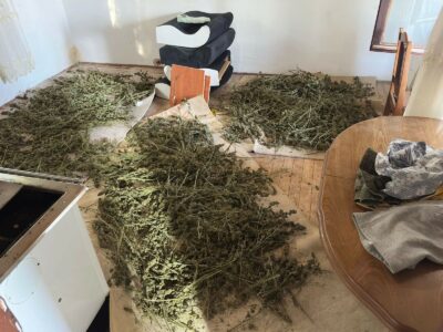 Prokuroria del me detaje për aksionin ku u godit grupi kriminal, ndalon 10 persona