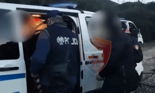 Trafik droge në Itali e Zvicër, koka e grupit arrestohet në Fier