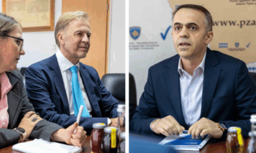 Shefi i BE-së në Kosovë e takon gjyqtarin që e sulmoi burri i Albulena Haxhiut