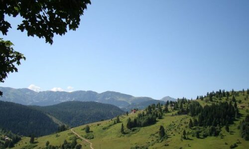 Rritet dukshëm numri i vizitorëve në Kosovë