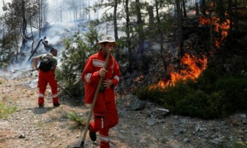 Shqipëria do t’i shpërblejë me deri në tri paga punonjësit që luftuan kundër zjarreve