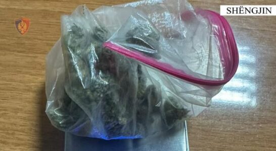 Arrestohen katër gjermanë në Shëngjin, u kapën me kanabis