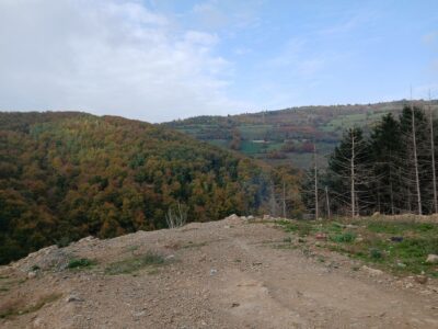 Dyshime për varr masiv, sot inspektohet në një lokacion afër Novi Pazarit