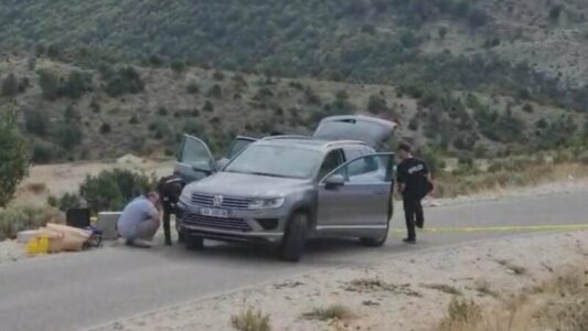 Vrasja e biznesmenit italian në Tepelenë, lirohet ortaku shqiptar dhe dy djemtë e tij