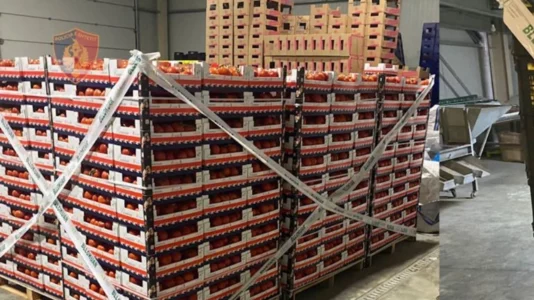 Kroacia bllokoi 8 tonë domate shqiptare me pesticide, tre të arrestuar në Berat