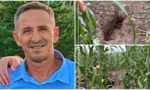 Një muaj pas vrasjes së Enver Bajraktarit, Policia bastis shtëpinë e Top Kolshit – gjen një pushkë gjysmëautomatike