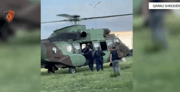 Policia në Shkodër asgjëson mbi 1000 bimë kanabisi, procedohen kryetarët e fshatrave