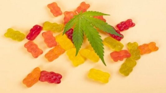 Korçë: Përmirësohet shëndeti i tri motrave të mitura që u helmuan nga karamelet me kanabis