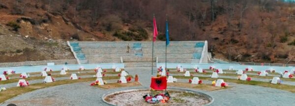 Një serb dhe një franceze u ndaluan nga Policia në Koshare