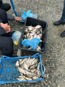 Konfiskohet peshk i paligjshëm në tregun e Gjakovës (FOTO)