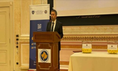 Radoniqi:Zgjedhjet nuk janë veç garë për pushtet, janë themel i demokracisë