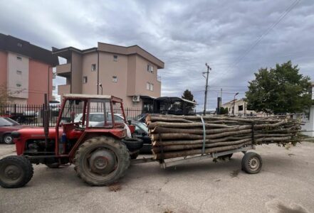 Arrestohen tre persona në Klinë, dyshohen për kanosje të personave zyrtarë dhe vjedhje të pyllit