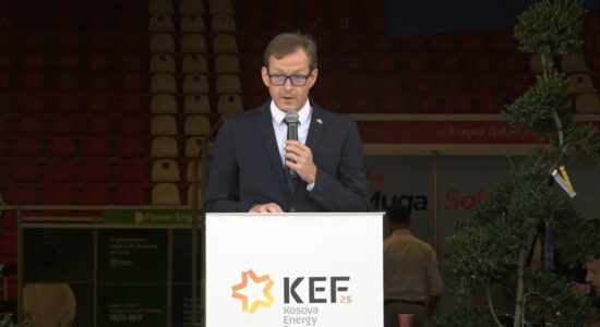 Gjermania me thirrje për krijimin e institucioneve: Çdo vonesë rrezikon investimet dhe ekonominë