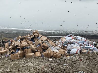 Vendos Gjykata Komerciale, fillon asgjësimi i mbi 35 mijë kilogramëve peshk