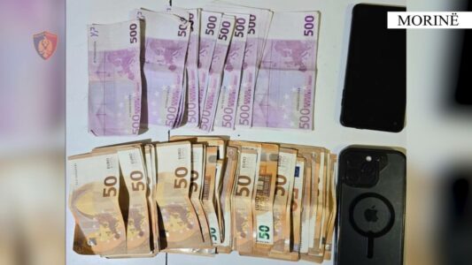 Kapen dy kosovarë me mbi 27 mijë euro të padeklaruara në kufi me Shqipërinë