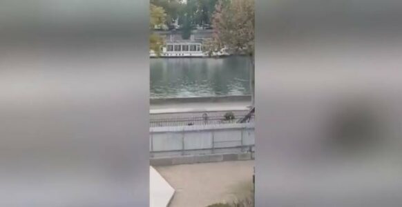 Pamje “spektakolare” kur hajnat ikin nga muzeu i Luvrit me trotineta pasi kryen vjedhje