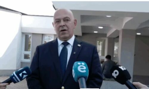 Gjini: Ditë e mirë për të votuar për komunën e demokracinë tonë