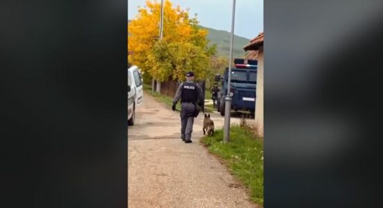 Bastisjet në Zveçan e Zubin Potok: Shtatë të arrestuar për rastin e vrasjes së zyrtarit të EULEX-it