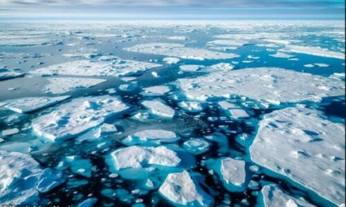 Shkencëtarët habiten nga zbulimi i jetës “ cilësuar si e pamundur” nën akullin e Arktikut