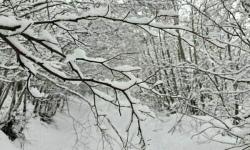 Parashikimi i motit: Borë e shi edhe sot