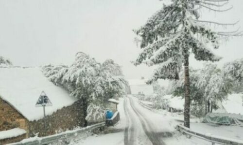 Ulja e temperaturave, bir bora e parë edhe në Shqipëri, zbardhet Kukësi