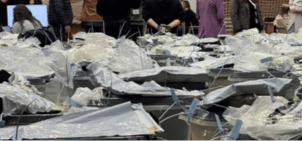 Bie sistemi, numërimi i votave për asamble në Podujevë anulohet – nuk do të vazhdojë as nesër paradite