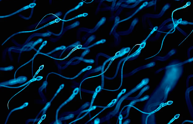 arrihet-shtatzenia-e-pare-me-sperme-te-gjetur-nga-inteligjenca-artificiale