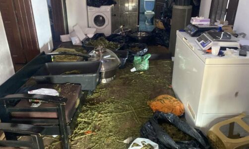 Policia aksion kundër narkotikëve në Podujevë, shtatë të arrestuar