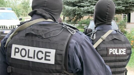 Arrestohet i dyshuari në Podujevë, iu gjetën 18 bimë kanabisi – dërgohet në mbajtje