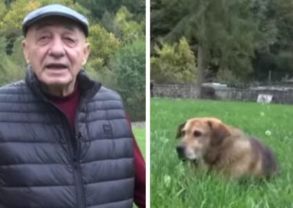 I vdiq pronari, qeni i këngëtarit të famshëm nuk pranon të hajë as të pijë (VIDEO)