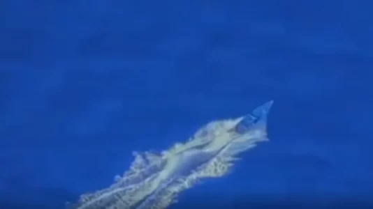 Presidenti i Kolumbisë thotë se anija e goditur nga SHBA-të mbante kolumbianë