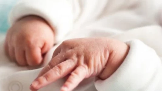 Bie numri i lindjeve në gusht 2025, krahasuar me muajin korrik