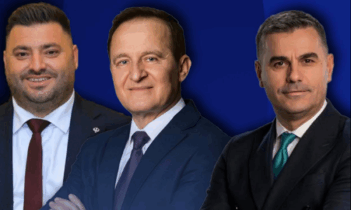 Rezulate befasuse në Vushtrri nga diaspora