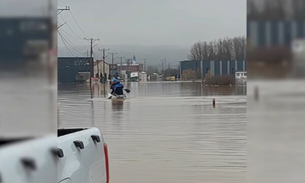 Ekipi i KEDS it improvizon barkë për ta riparuar rrjetin elektrik në rrugën Ferizaj Viti