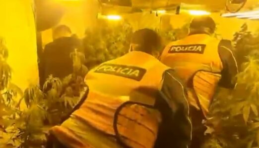 Zbulohet “shtëpi bari” në Shkodër, arrestohen dy kushërinjtë, i treti në kërkim