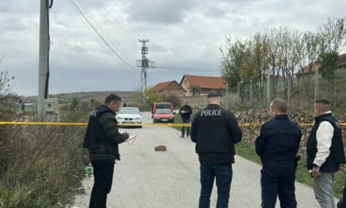 Policia në kërkim të dyshuarit për vrasjen e vëllezërve në Malishevë, aktivizon Njësinë K9 – pamje