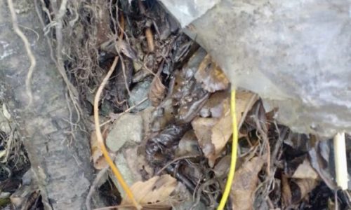 Policia e KFOR gjeten detonatorë me fitila afër Leposaviqit, Sveçla: Serbia me banda po planifikon sulme terroriste