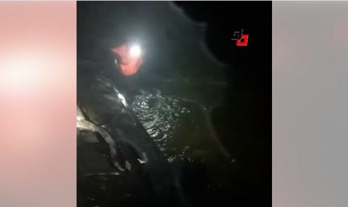 Pamjet nga aksidenti fatal afër Drenasit, zjarrfikësi i futur në ujë duke kërkuar trupa nga vetura e rrokullisur