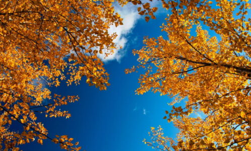 Moti sot: Me diell dhe i ngrohtë