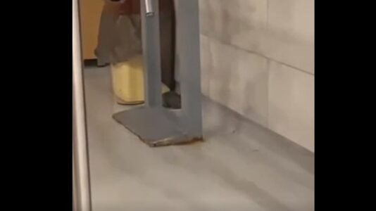 Miu “shëtitet” nëpër Mensë të Studentëve